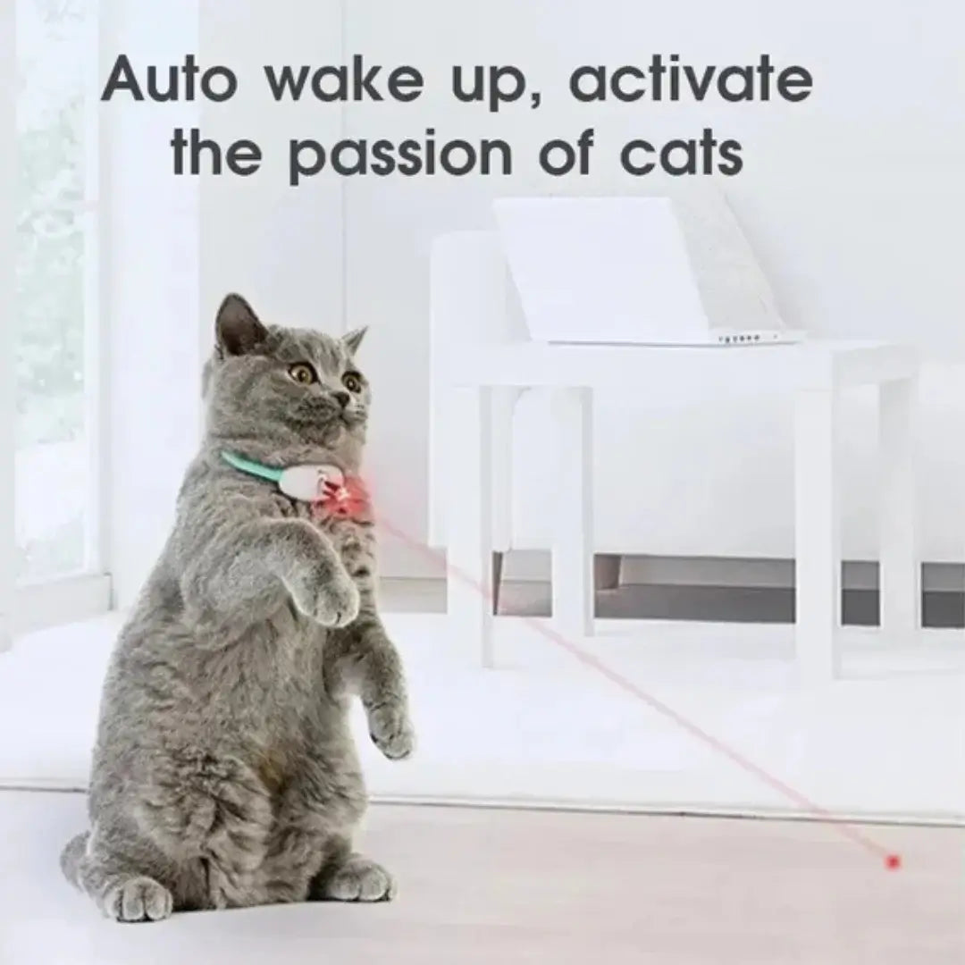 Rechargeable Automatic Laser Cat Collar - Interactive Pet Toy